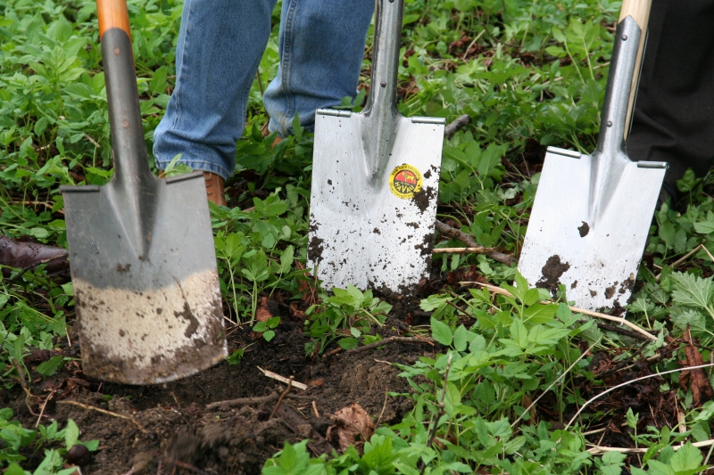 pepiniere-LA CRAU-min_work-lawn-flower-tool-green-backyard-1103633-pxhere.com